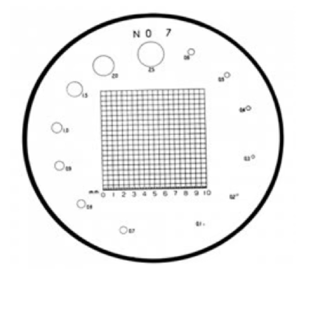 12261-7.jpg