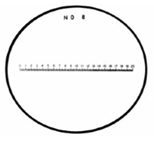 12262-8.jpg